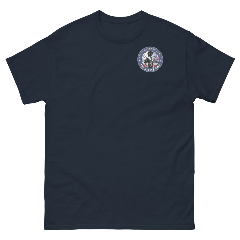 State Defense Force Emblem Geavyweight Tee - Image 2