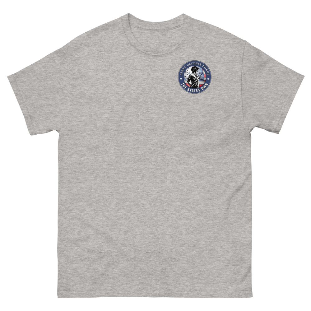 State Defense Force Emblem Geavyweight Tee - Image 3