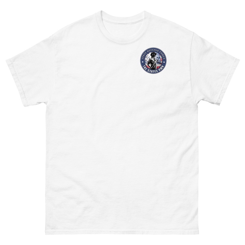 State Defense Force Emblem Geavyweight Tee - Image 4