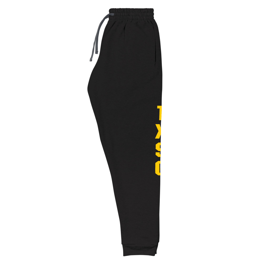 Texas State Guard PT Sweatpants - Image 2
