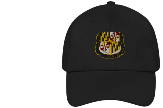 SDF Online Store Cap Image