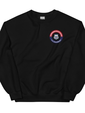 unisex-crew-neck-sweatshirt-black-front-6446b9166326e.jpg