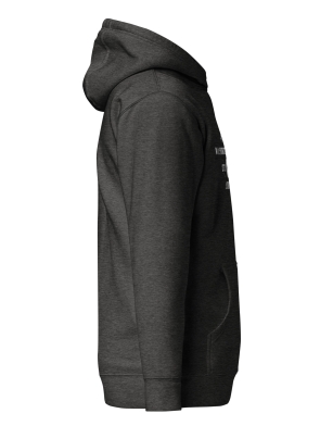 unisex-premium-hoodie-charcoal-heather-right-674773e31d624.jpg